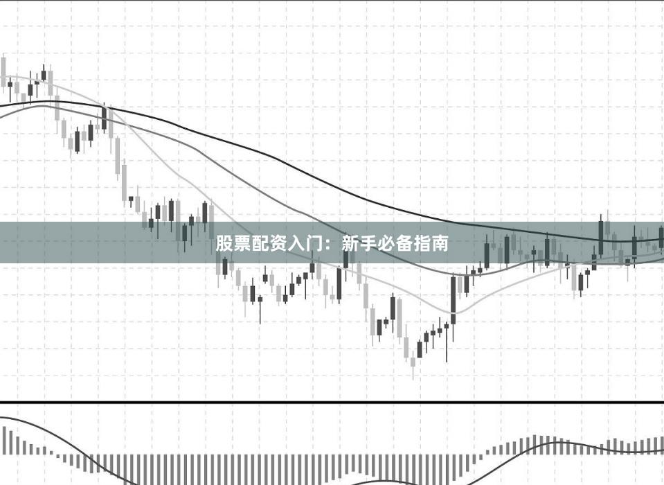 股票配资入门：新手必备指南